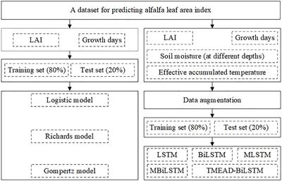 Predicting alfalfa leaf area index by non-linear models and deep learning models